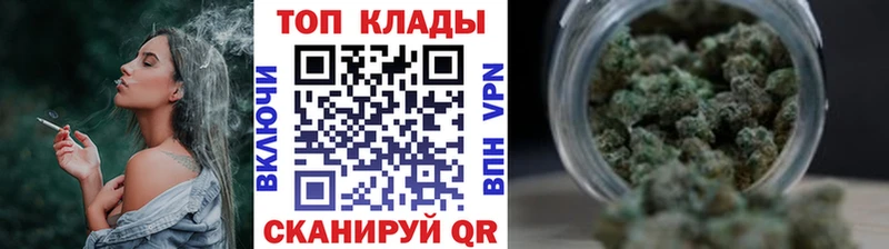Где можно купить наркотики Светлогорск Галлюциногенные грибы  КОКАИН  ГАШИШ  МЕФ  МЕТАМФЕТАМИН  блэк спрут ссылки  Бошки Шишки 