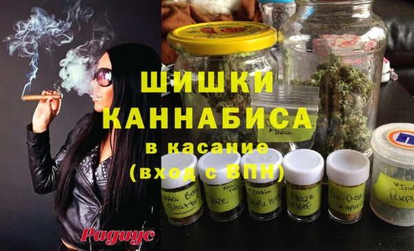 амф Богородицк