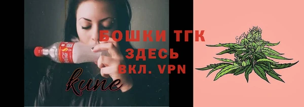 амф Богородицк