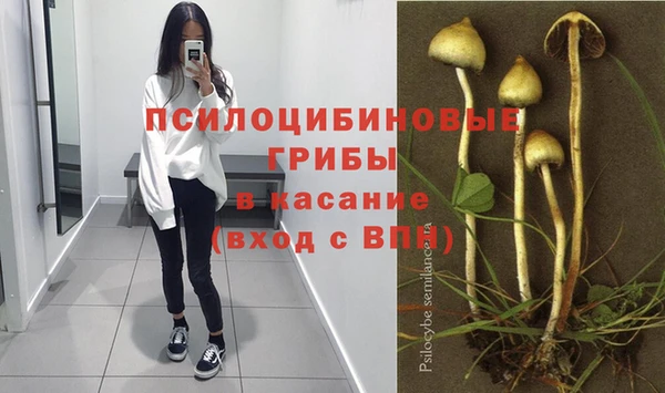 2c-b Богданович
