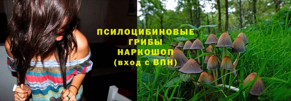 2c-b Богданович