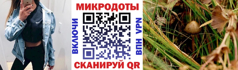 Псилоцибиновые грибы мухоморы  купить закладку  Светлогорск 